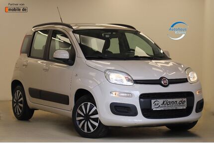 Fiat Panda Gebrauchtwagen