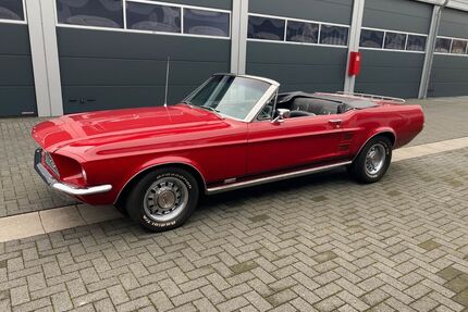 Ford Mustang Gebrauchtwagen