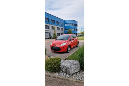 Ford Ka/Ka+ Gebrauchtwagen