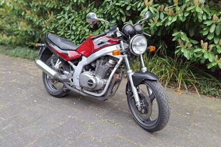 Suzuki GS 500 Gebrauchtwagen