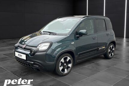 Fiat Panda Gebrauchtwagen