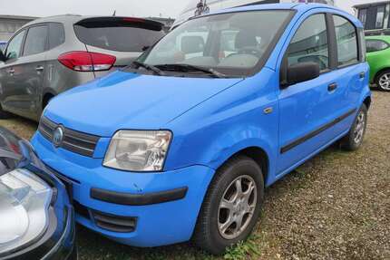 Fiat Panda Gebrauchtwagen
