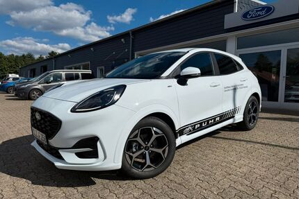 Ford Puma Gebrauchtwagen