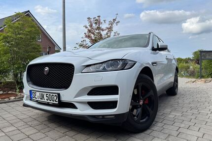 Jaguar F-Pace Gebrauchtwagen