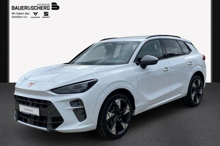 Cupra Terramar Gebrauchtwagen