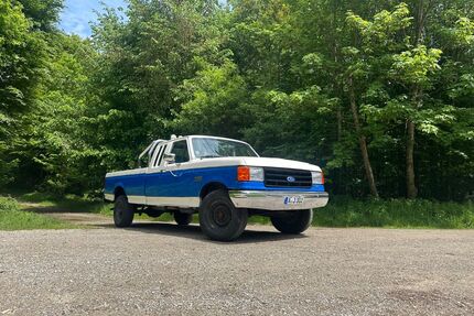 Ford F 250 Gebrauchtwagen