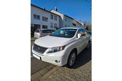 Lexus RX 450 Gebrauchtwagen