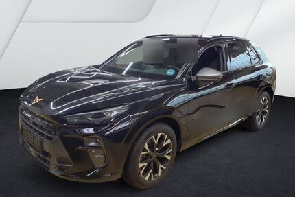 Cupra Terramar Gebrauchtwagen