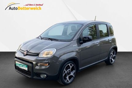 Fiat Panda Gebrauchtwagen