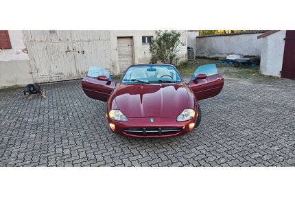 Jaguar XK8 Gebrauchtwagen