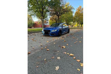 Audi S5 Gebrauchtwagen