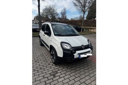 Fiat Panda Gebrauchtwagen