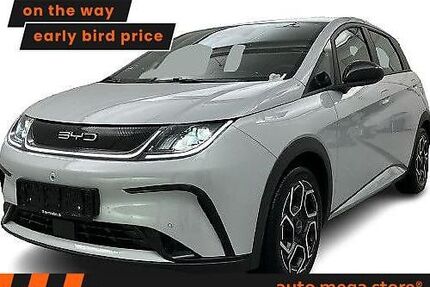 BYD DOLPHIN Gebrauchtwagen