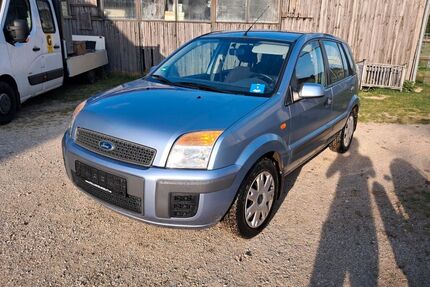 Ford Fusion Gebrauchtwagen