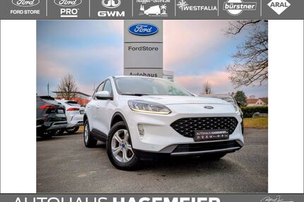 Ford Kuga Gebrauchtwagen
