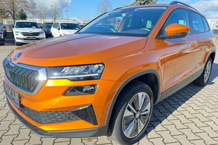 Skoda Karoq Gebrauchtwagen