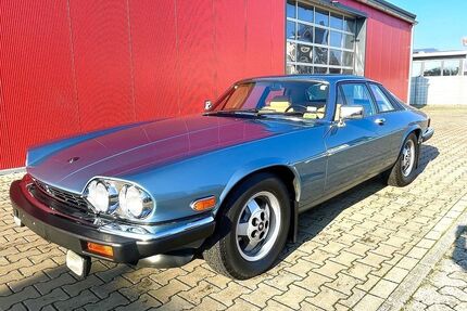 Jaguar XJS Gebrauchtwagen