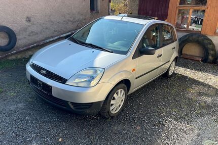 Ford Fiesta Gebrauchtwagen