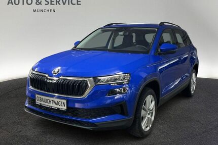 Skoda Karoq Gebrauchtwagen