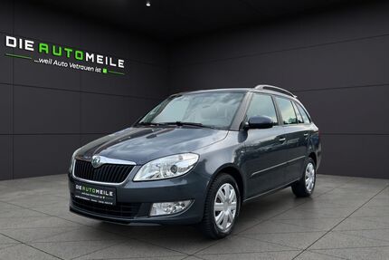 Skoda Fabia Gebrauchtwagen