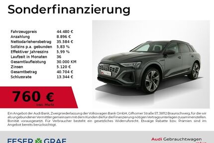 Audi Q8 e-tron Gebrauchtwagen