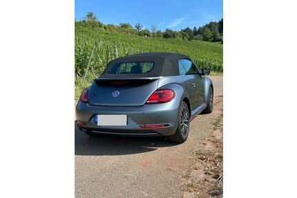 VW Beetle Gebrauchtwagen