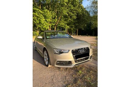 Audi A5 Gebrauchtwagen