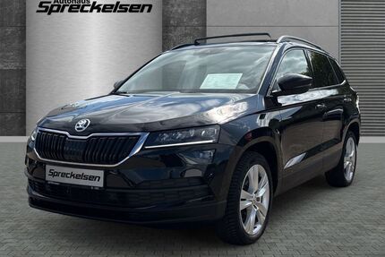 Skoda Karoq Gebrauchtwagen