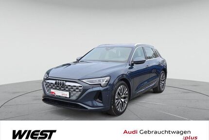 Audi Q8 e-tron Gebrauchtwagen