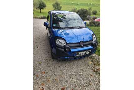 Fiat Panda Gebrauchtwagen
