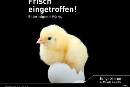 Mercedes-Benz EQA Gebrauchtwagen