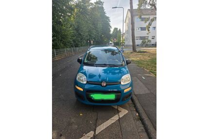 Fiat New Panda Gebrauchtwagen