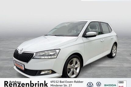 Skoda Fabia Gebrauchtwagen