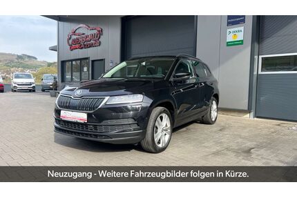 Skoda Karoq Gebrauchtwagen