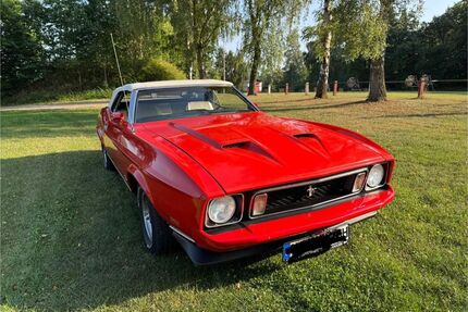 Ford Mustang Gebrauchtwagen