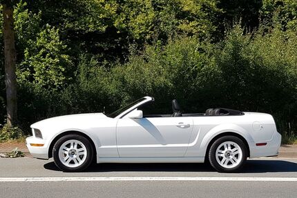 Ford Mustang Gebrauchtwagen