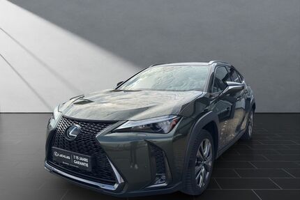Lexus UX Gebrauchtwagen