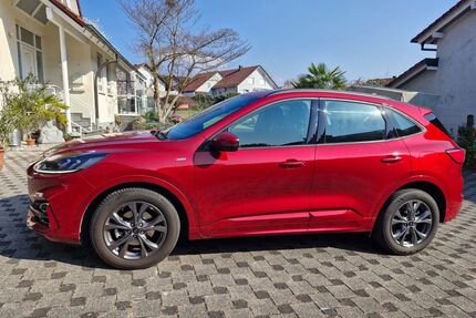 Ford Kuga Gebrauchtwagen