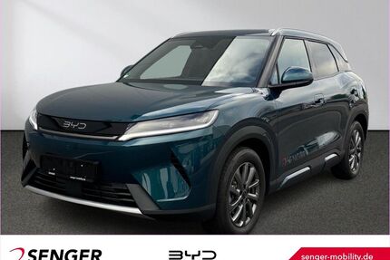 BYD ATTO 2 Gebrauchtwagen