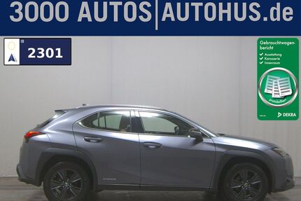 Lexus UX Gebrauchtwagen