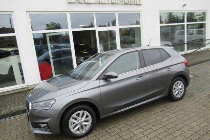 Skoda Fabia Gebrauchtwagen