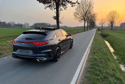 Kia pro ceed / ProCeed Gebrauchtwagen