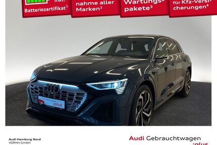 Audi Q8 e-tron Gebrauchtwagen