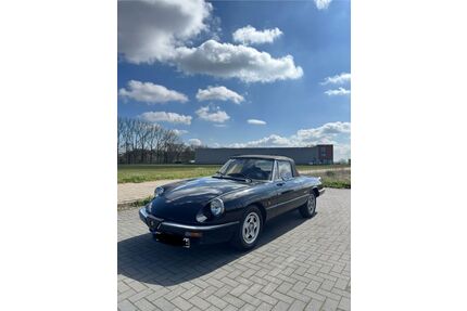 Alfa Romeo Spider Gebrauchtwagen