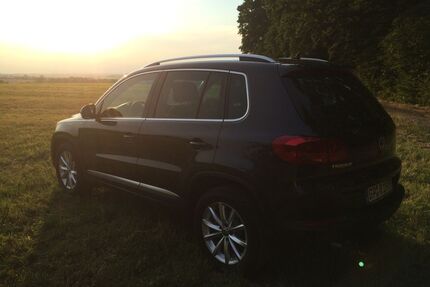 VW Tiguan Gebrauchtwagen