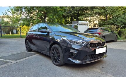 Kia ceed / Ceed Gebrauchtwagen
