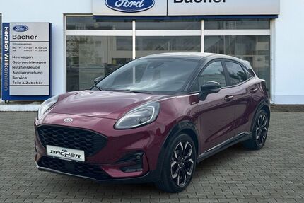 Ford Puma Gebrauchtwagen