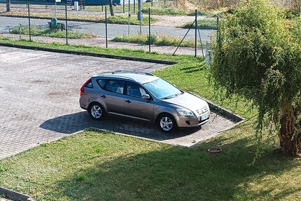 Kia ceed / Ceed Gebrauchtwagen