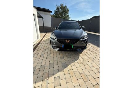 Cupra Formentor Gebrauchtwagen