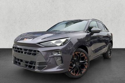 Cupra Terramar Gebrauchtwagen